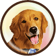 GABINET WETERYNARYJNY "AZOREK" KATARZYNA OLSZAK — zdjęcie 2