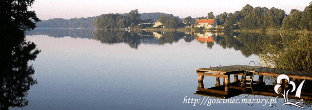 MAZURY STARY GIELĄD — zdjęcie 2