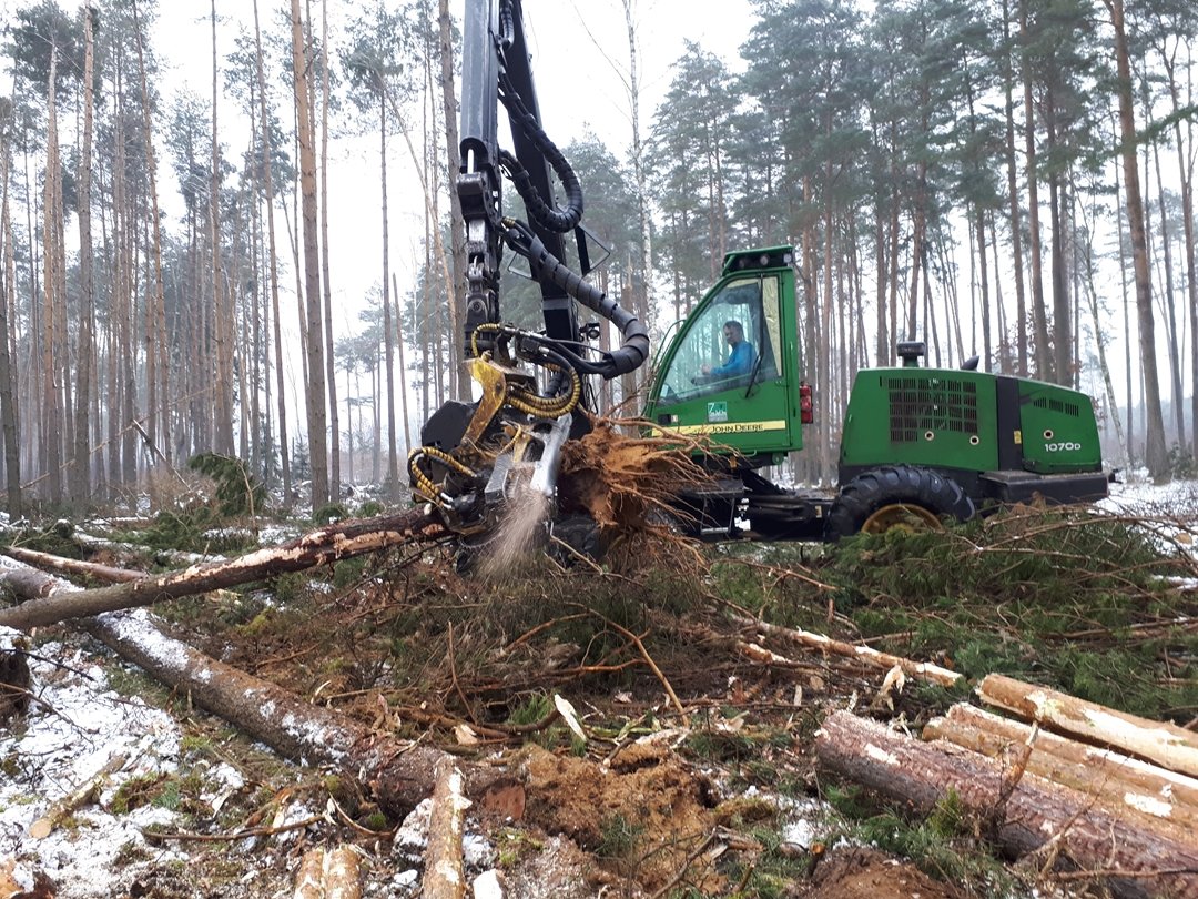 Zakład Usług Leśnych Leszek Szarmach — zdjęcie 2