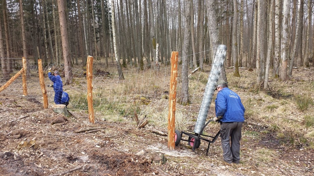 Zakład Usług Leśnych Leszek Szarmach — zdjęcie 5