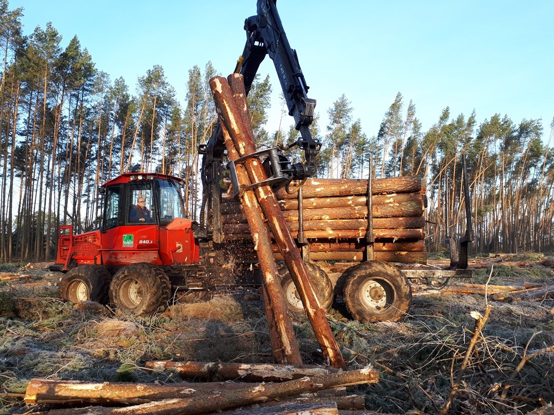Zakład Usług Leśnych Leszek Szarmach — zdjęcie 13